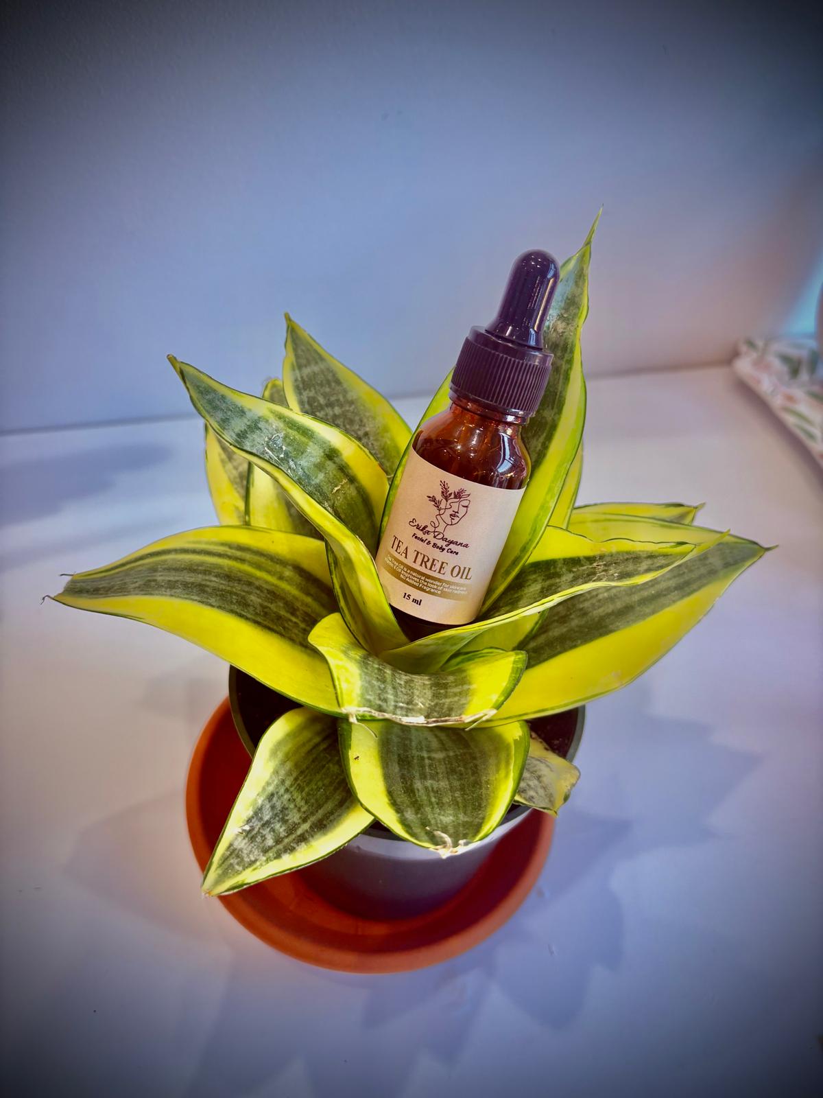 Tea Tree Oil